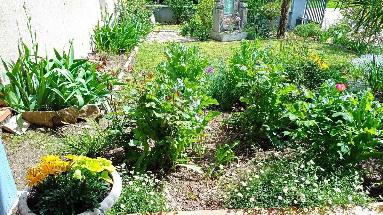 Photo of Outdoor in Ecuelles