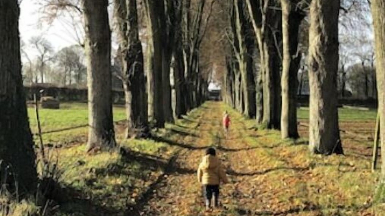 Photo of Outdoor in Terramesnil