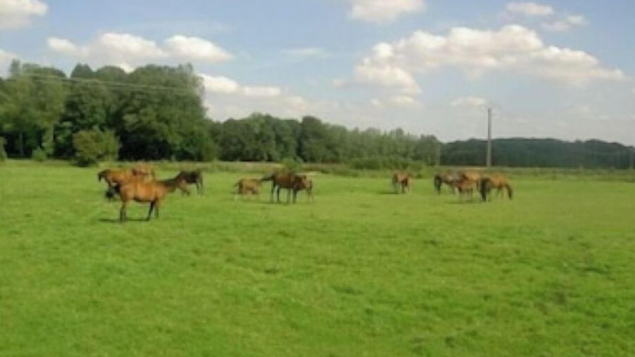 Photo of Outdoor in Terramesnil