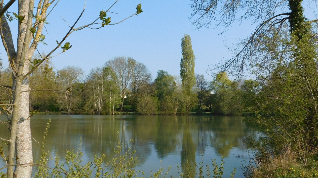 Photo of Outdoor in Bouere