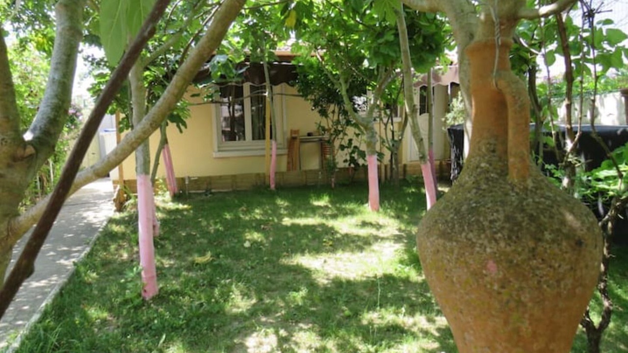 Photo of Outdoor in Goussainville