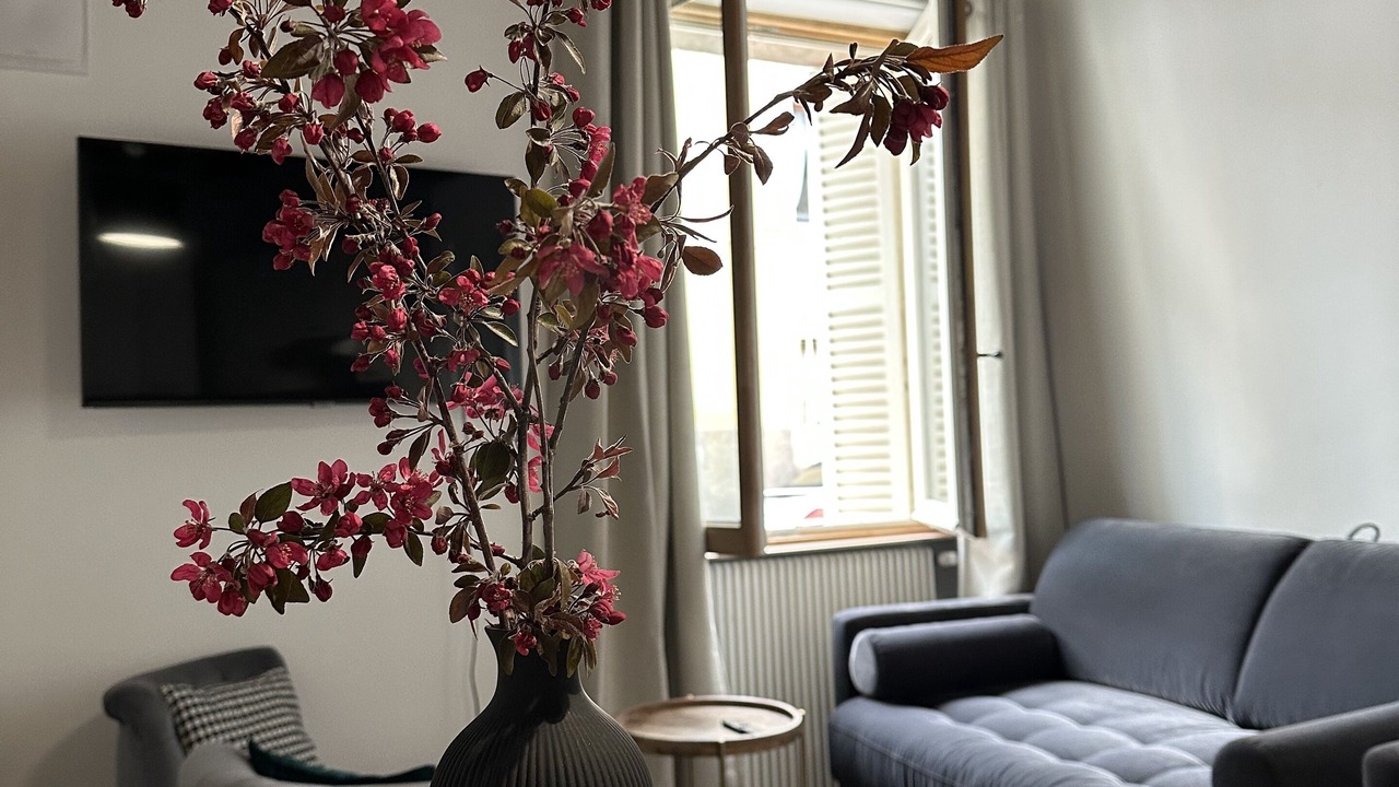 Photo of Livingroom in Faubourg North