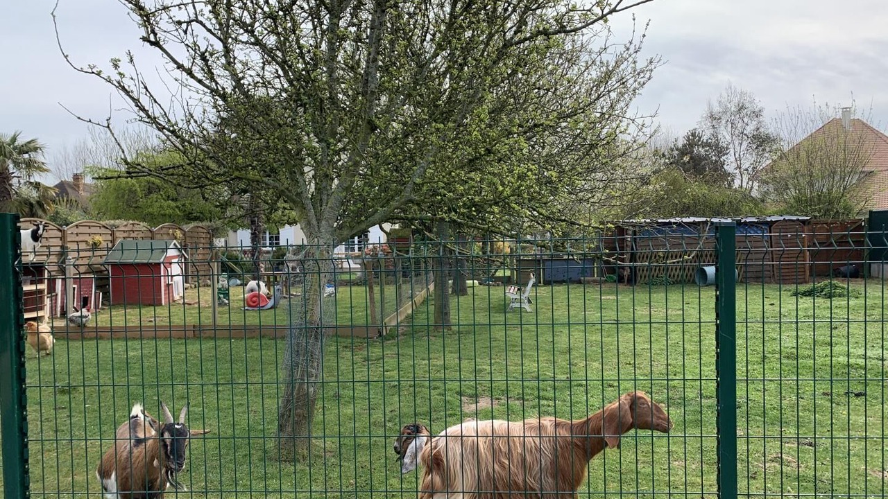 Photo of Outdoor in Octeville-sur-Mer