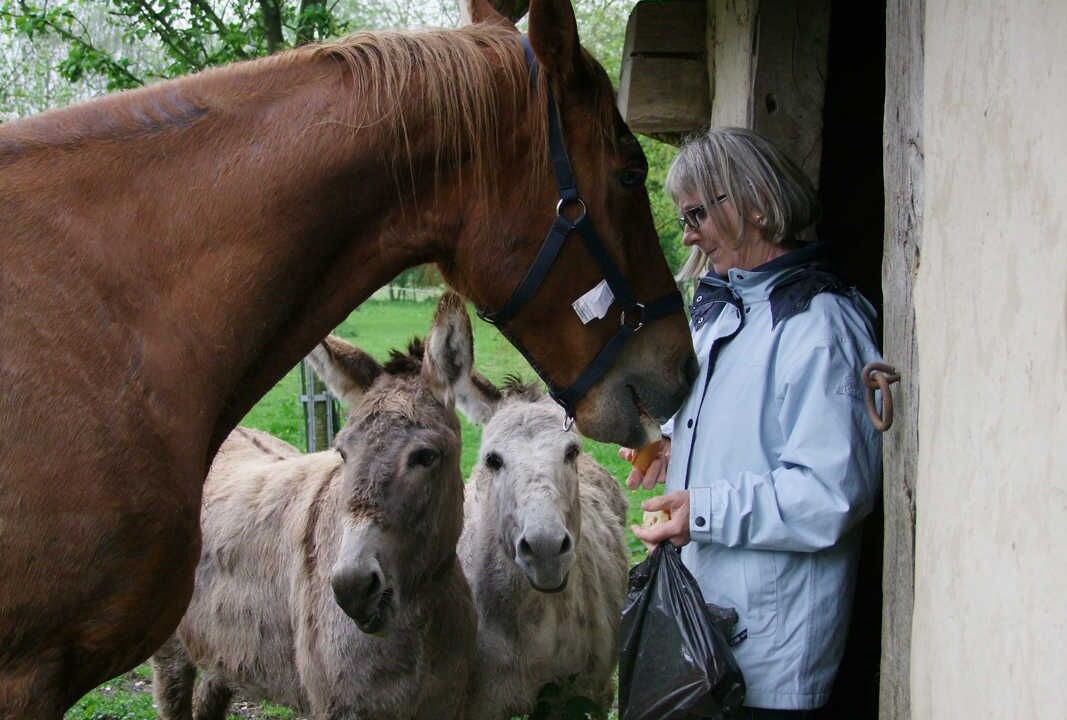 Photo of Others in Saint-Paer