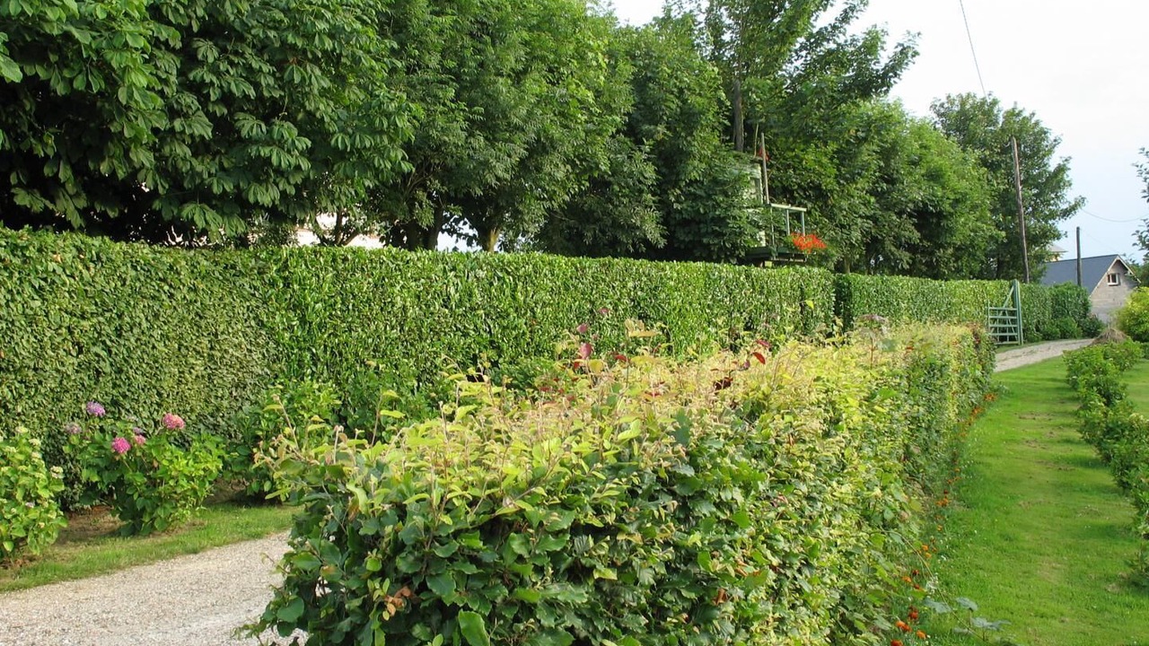Photo of Outdoor in Villainville