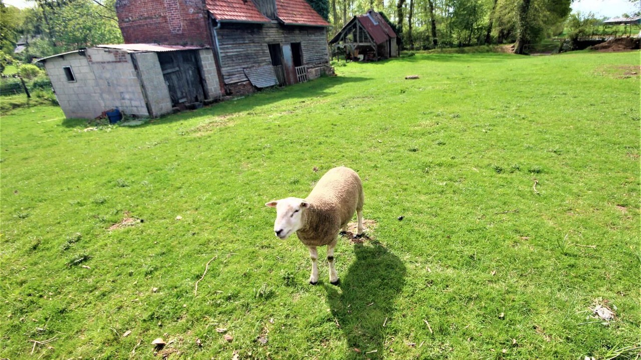 Photo of Outdoor in Bertreville-Saint-Ouen