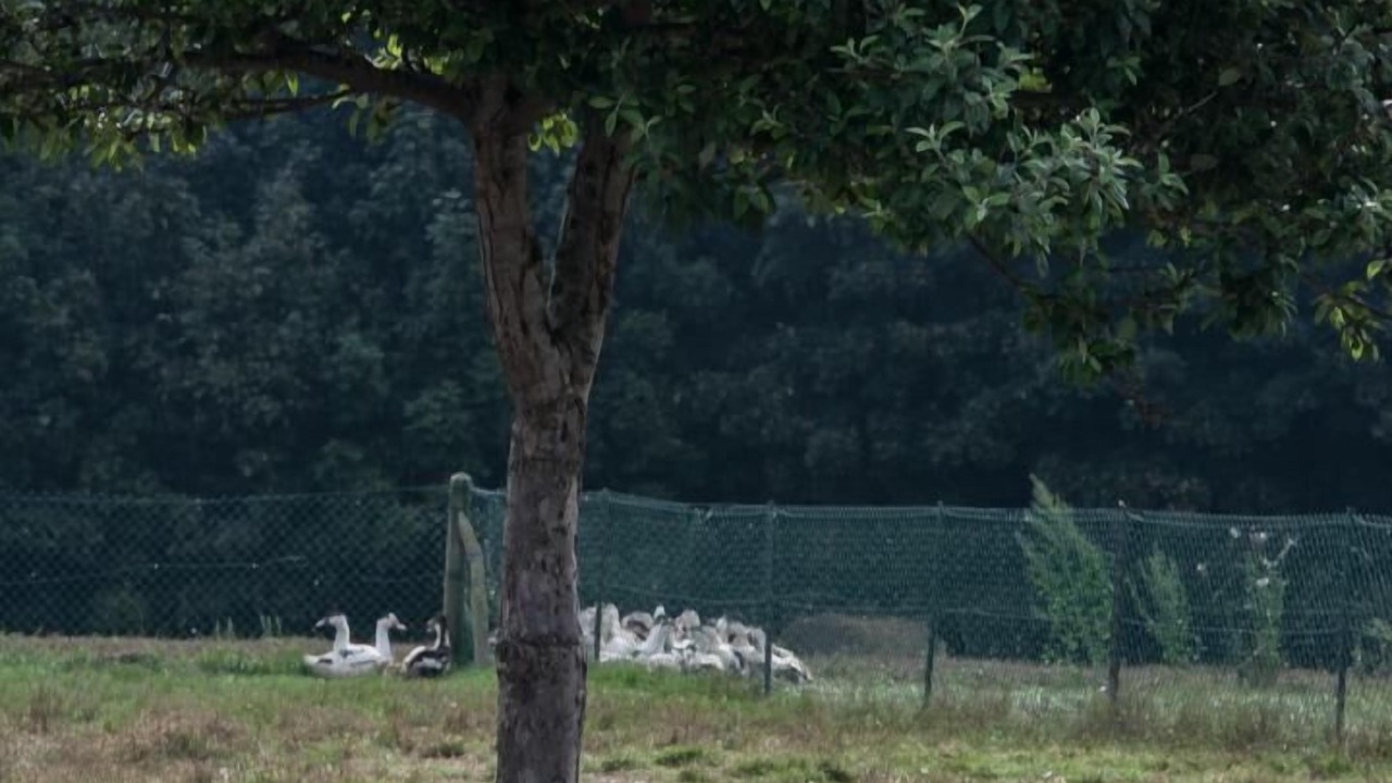 Photo of Outdoor in Yport