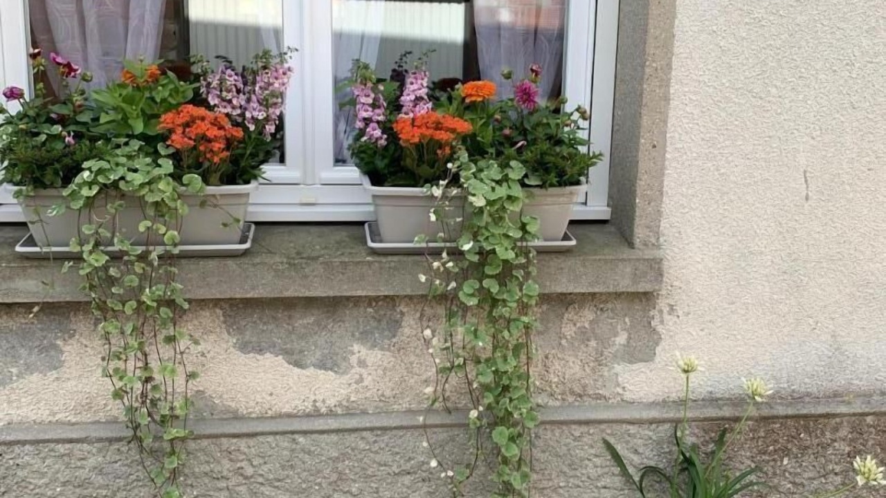 Photo of Outdoor in Les Loges