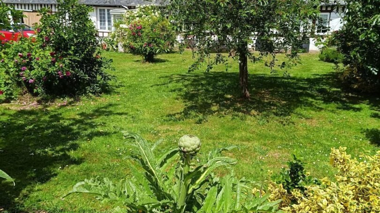 Photo of Outdoor in Sassetot-le-Mauconduit