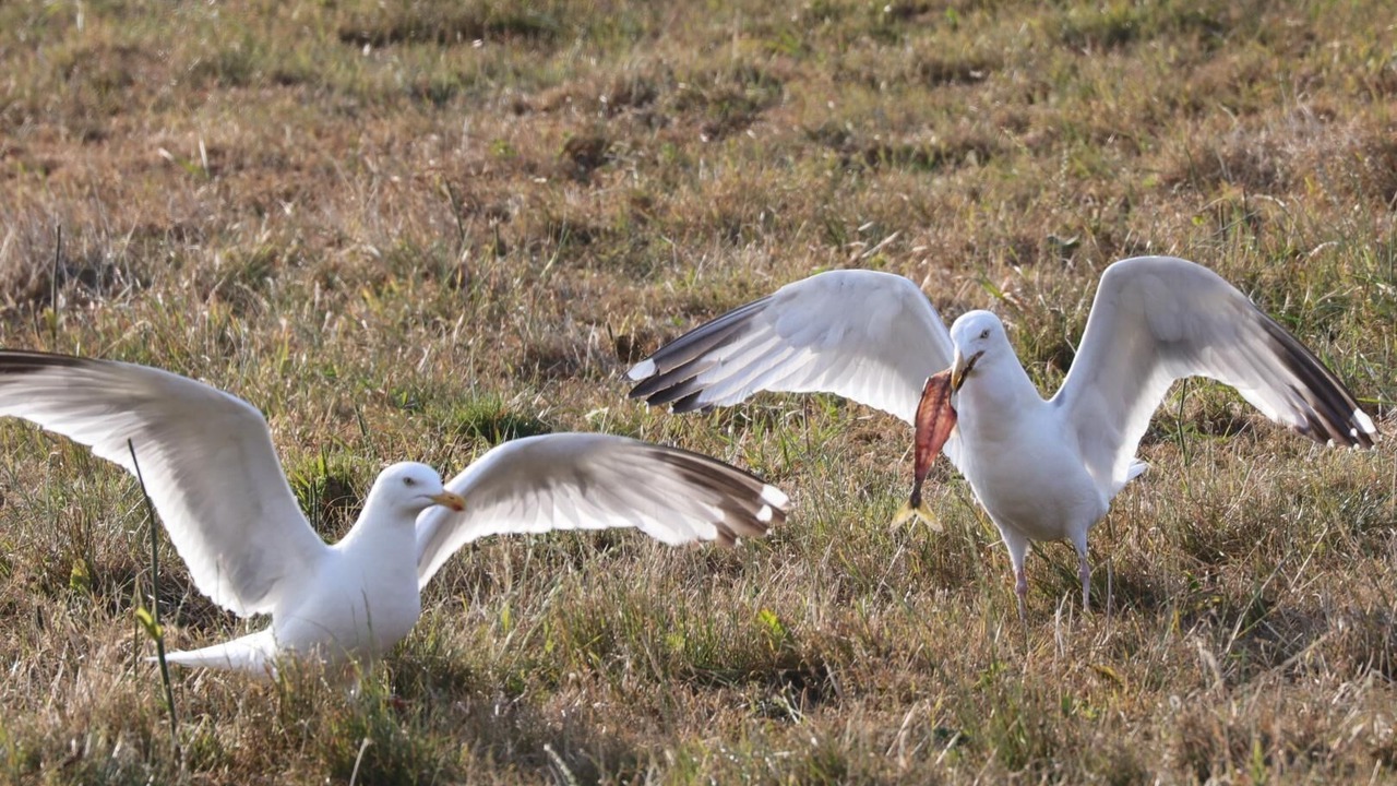 Photo of Others in Quiberville