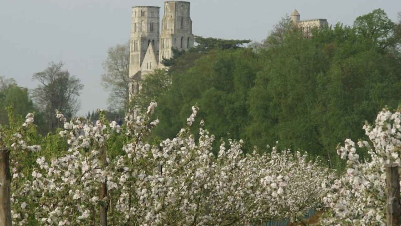 Photo of Outdoor in Le Mesnil-sous-Jumieges