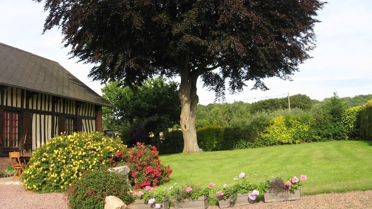 Photo of Outdoor in Sainte-Beuve-en-Riviere