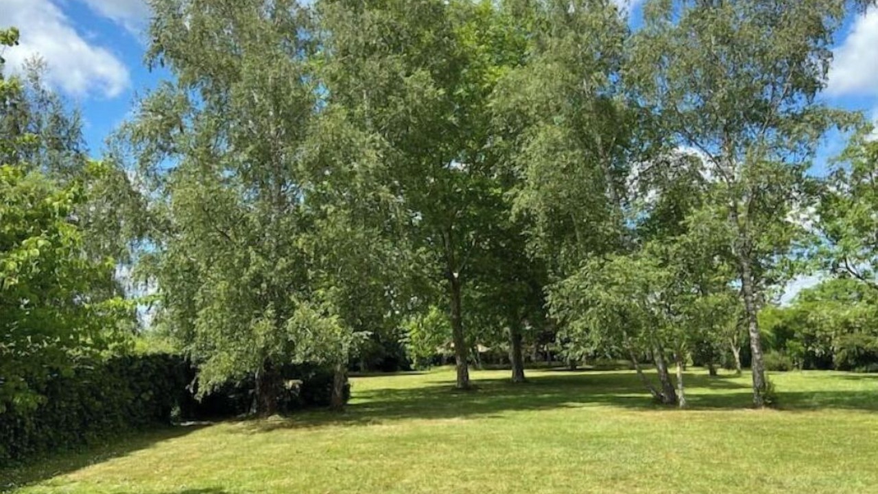 Photo of Outdoor in Cuisery