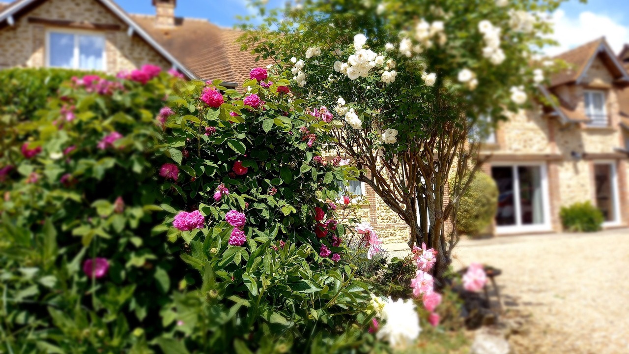 Photo of Outdoor in Le Vieil-Evreux