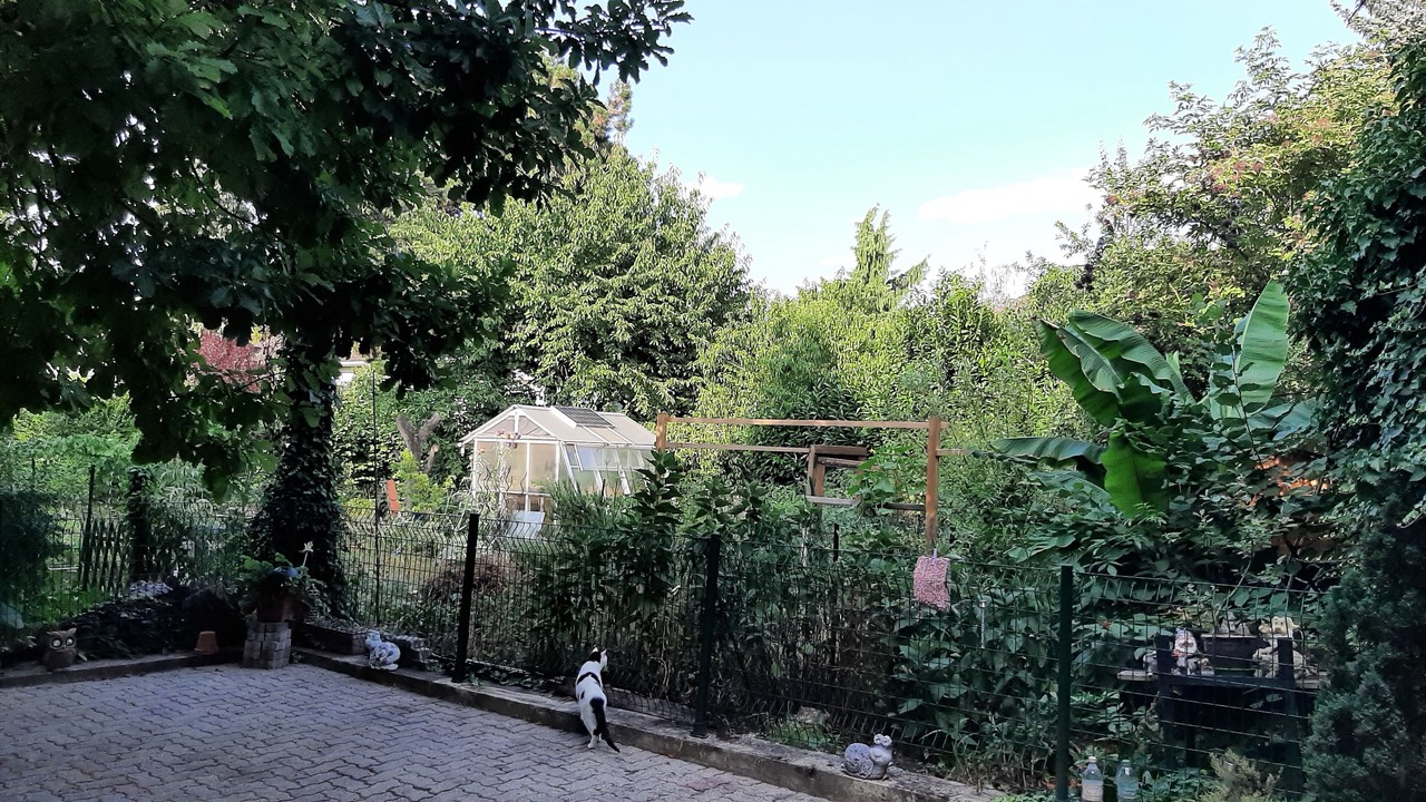 Photo of Outdoor in Cronenbourg Est