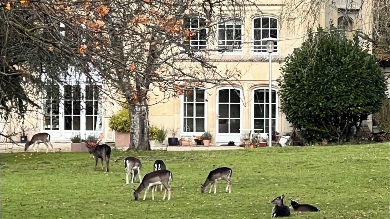 Photo of Outdoor in Boissy-Saint-Leger
