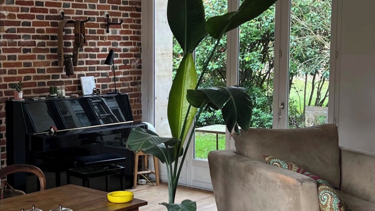 Photo of Livingroom in Boissy-Saint-Leger