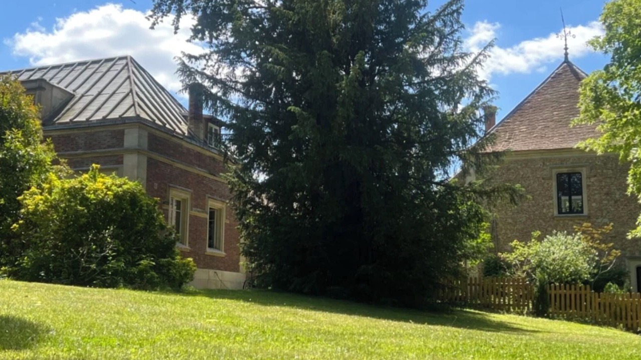 Photo of Outdoor in Boissy-Saint-Leger