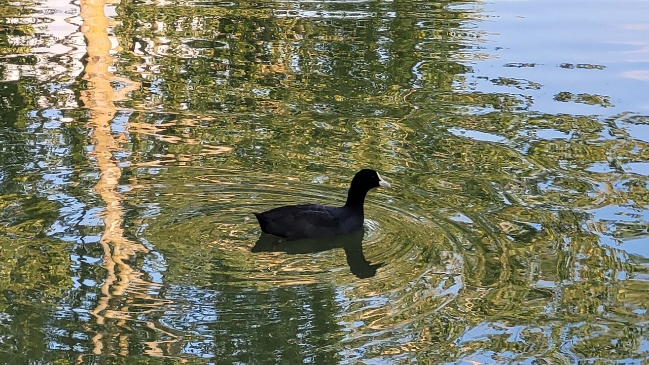 Photo of Others in Emerainville