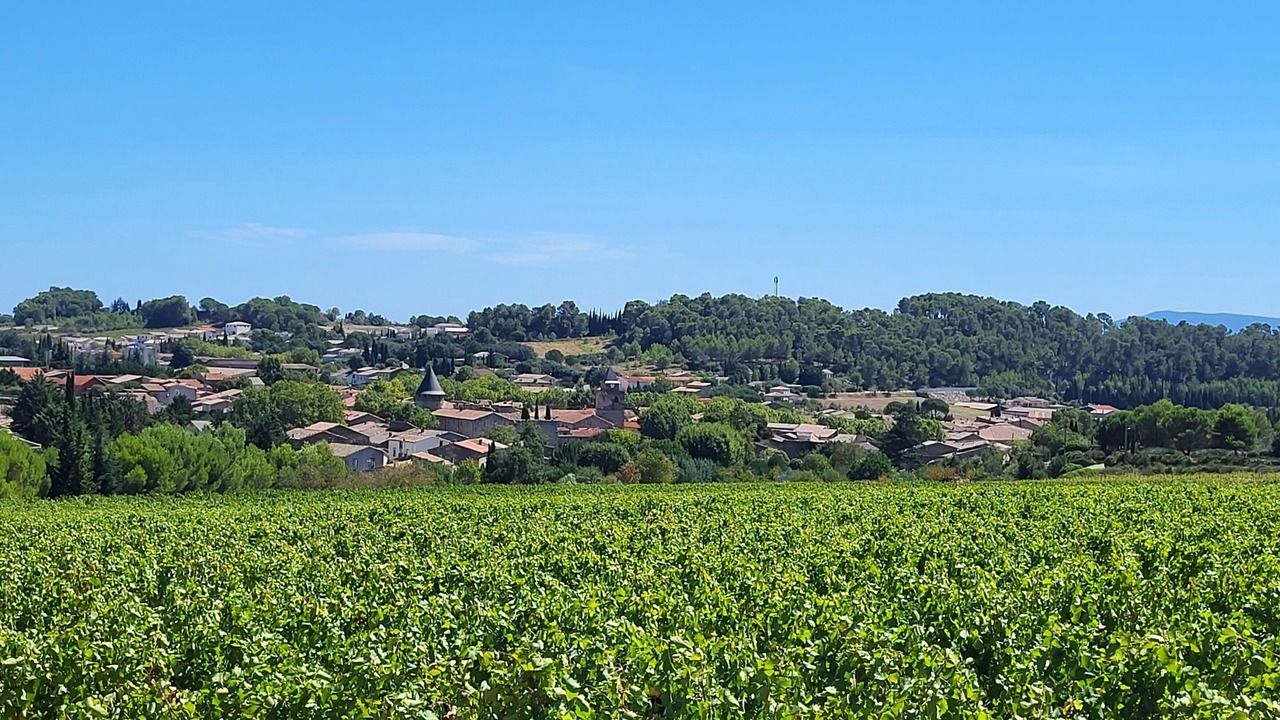 Photo of Others in Villeneuve-Minervois