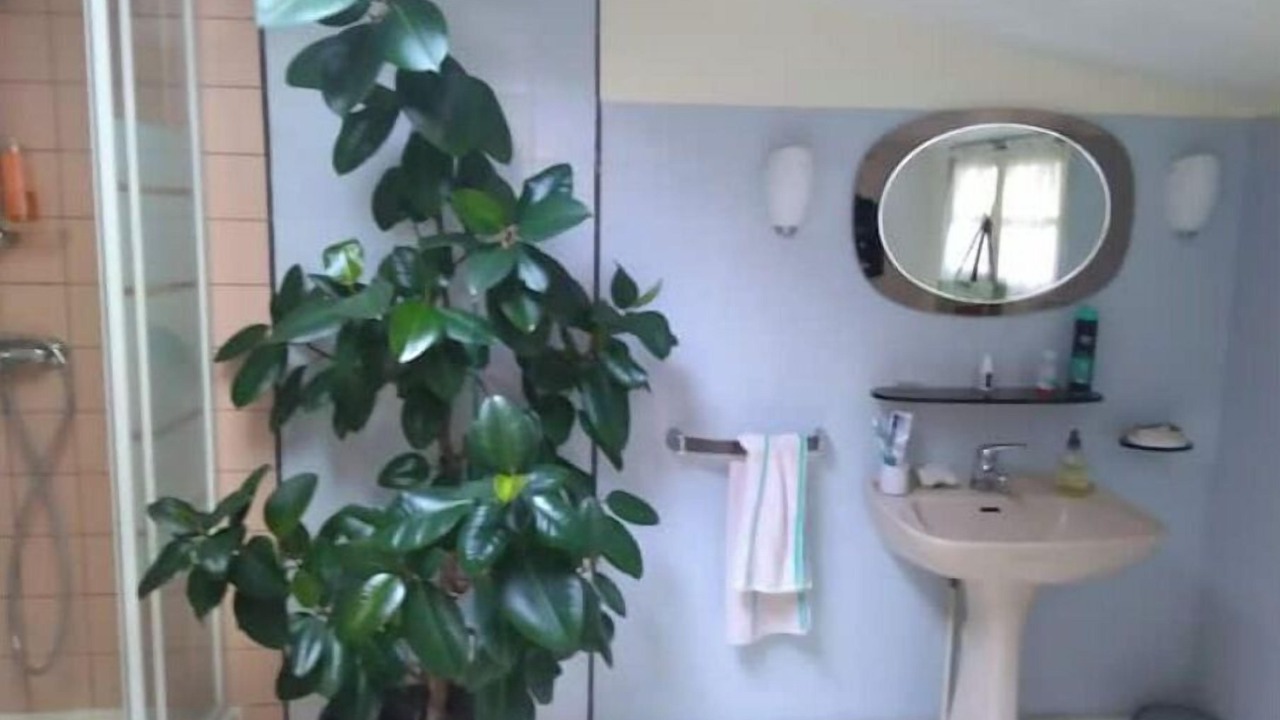 Photo of Bathroom in Saint-Leonard