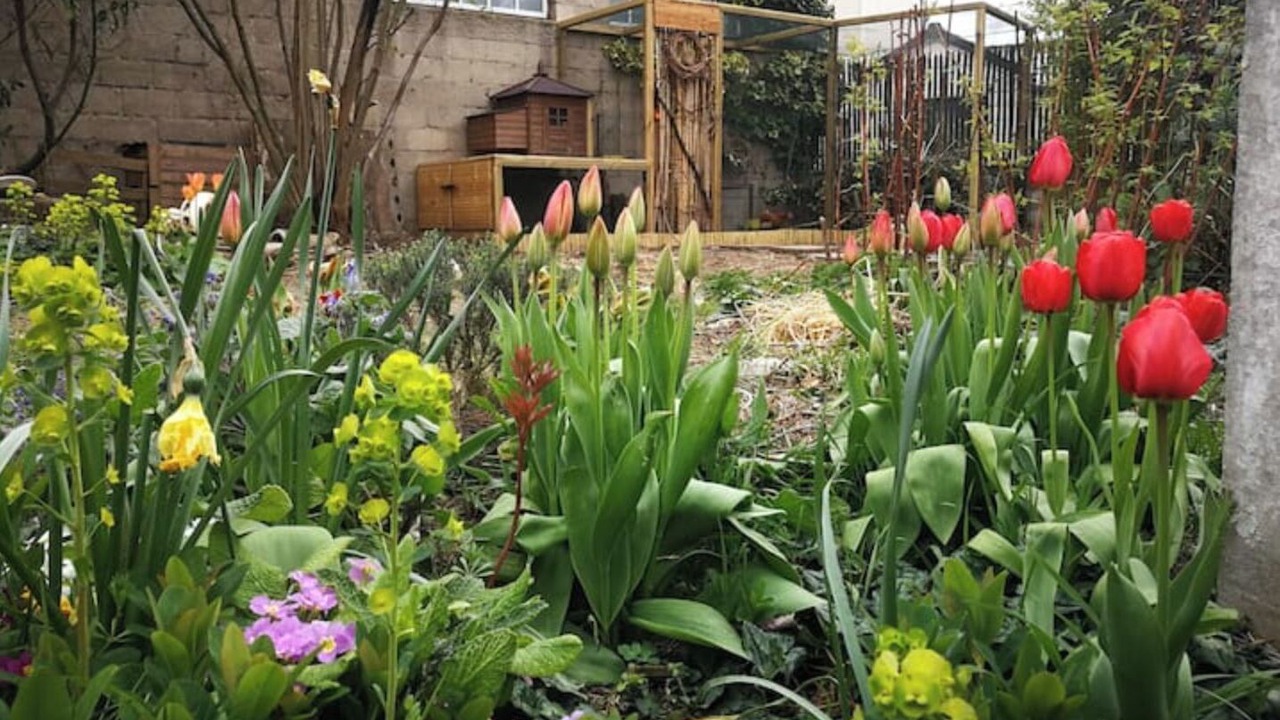 Photo of Outdoor in Villejuif