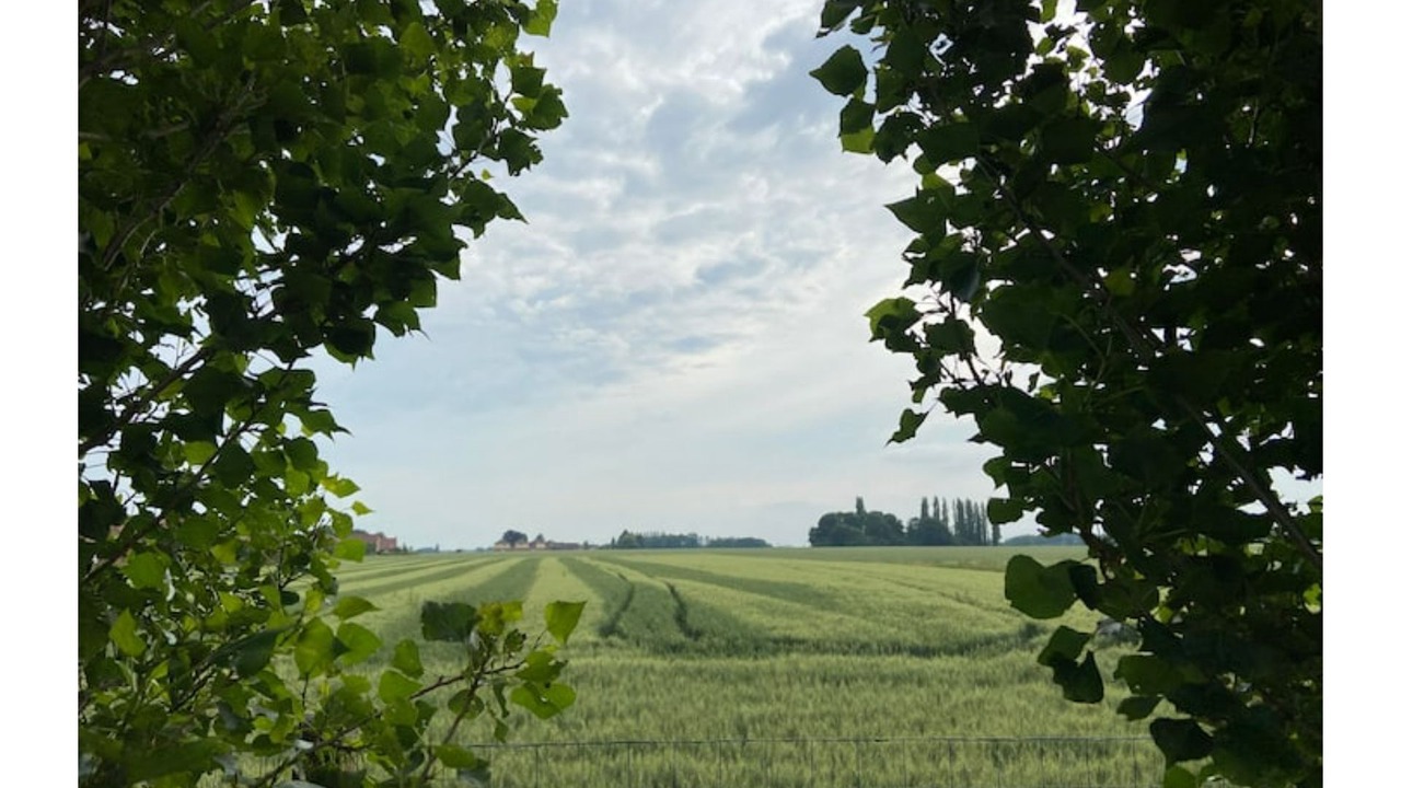 Photo of Others in Lannoy