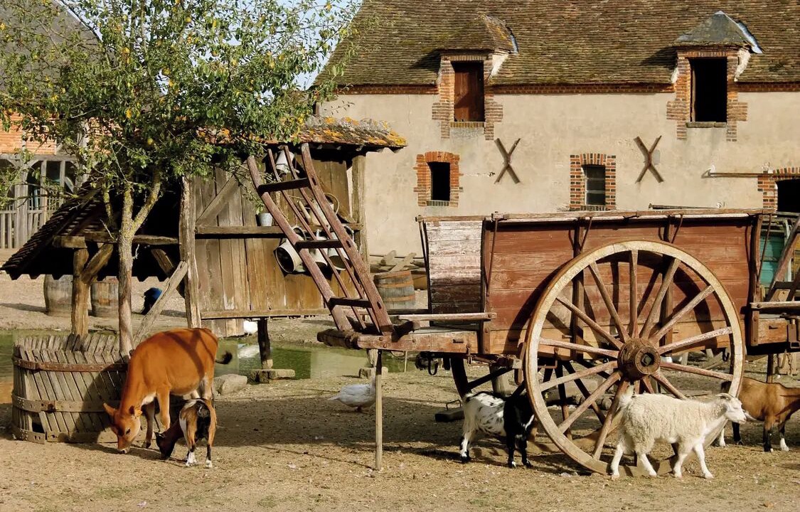 Photo of Others in Saint-Fargeau