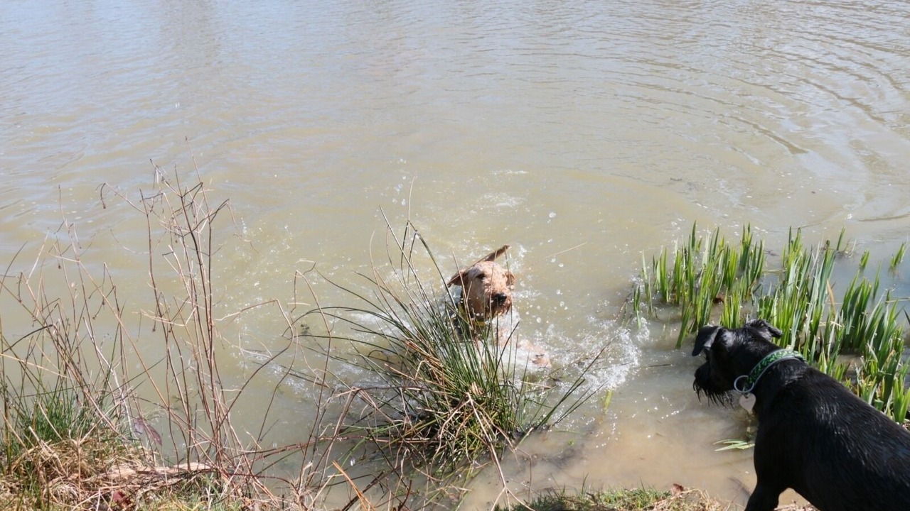 Photo of Others in La Chapelle-Naude