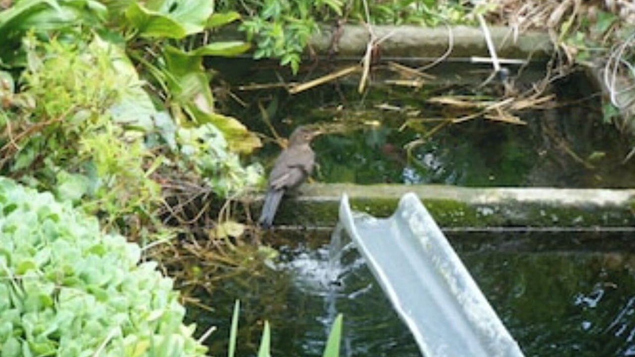 Photo of Outdoor in Barr