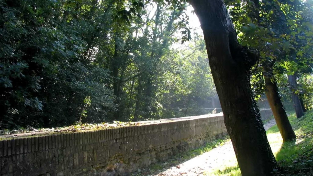 Photo of Outdoor in City-Centre - Petite France