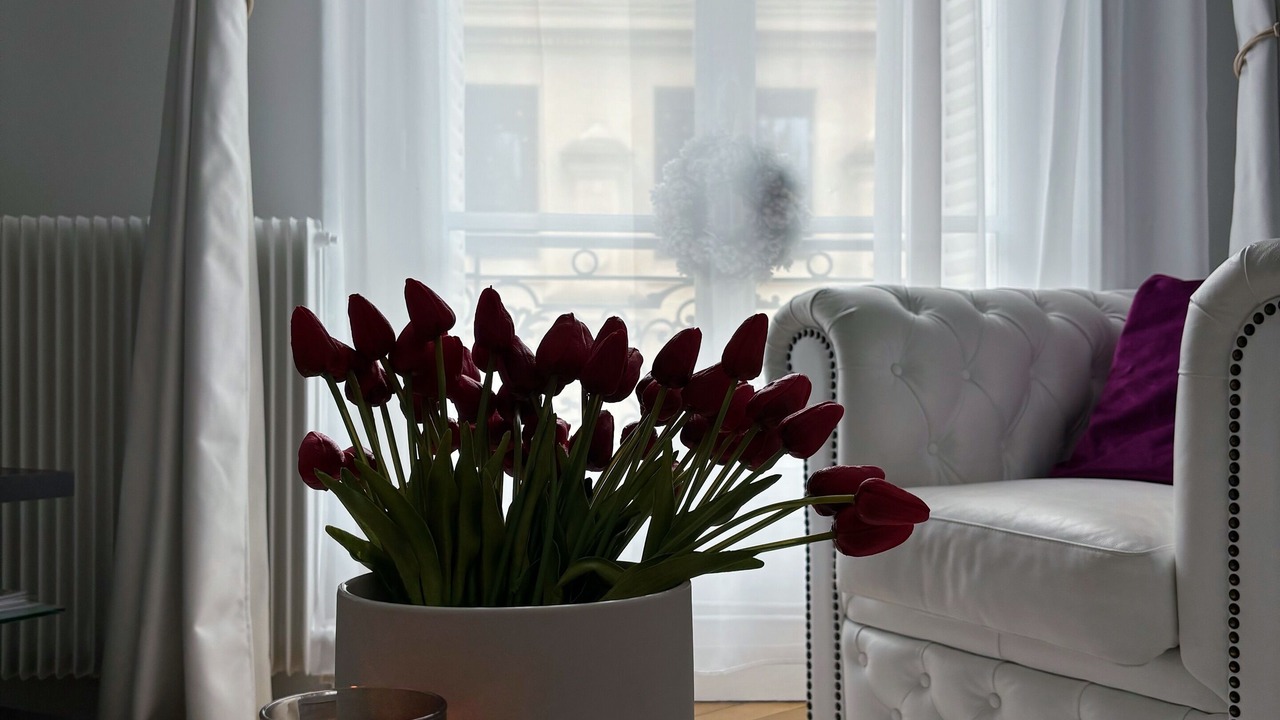 Photo of Others in Quartier du Mail