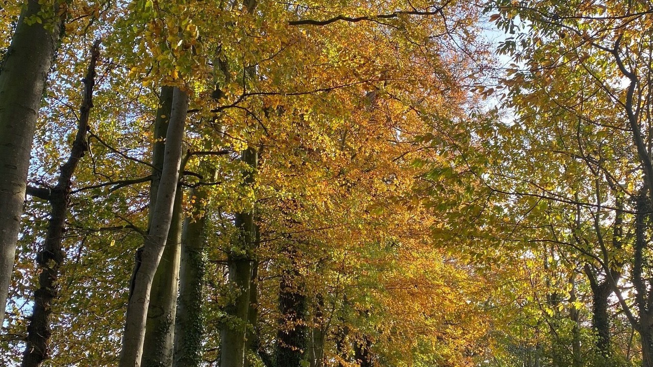 Photo of Outdoor in Anglesqueville-la-Bras-Long