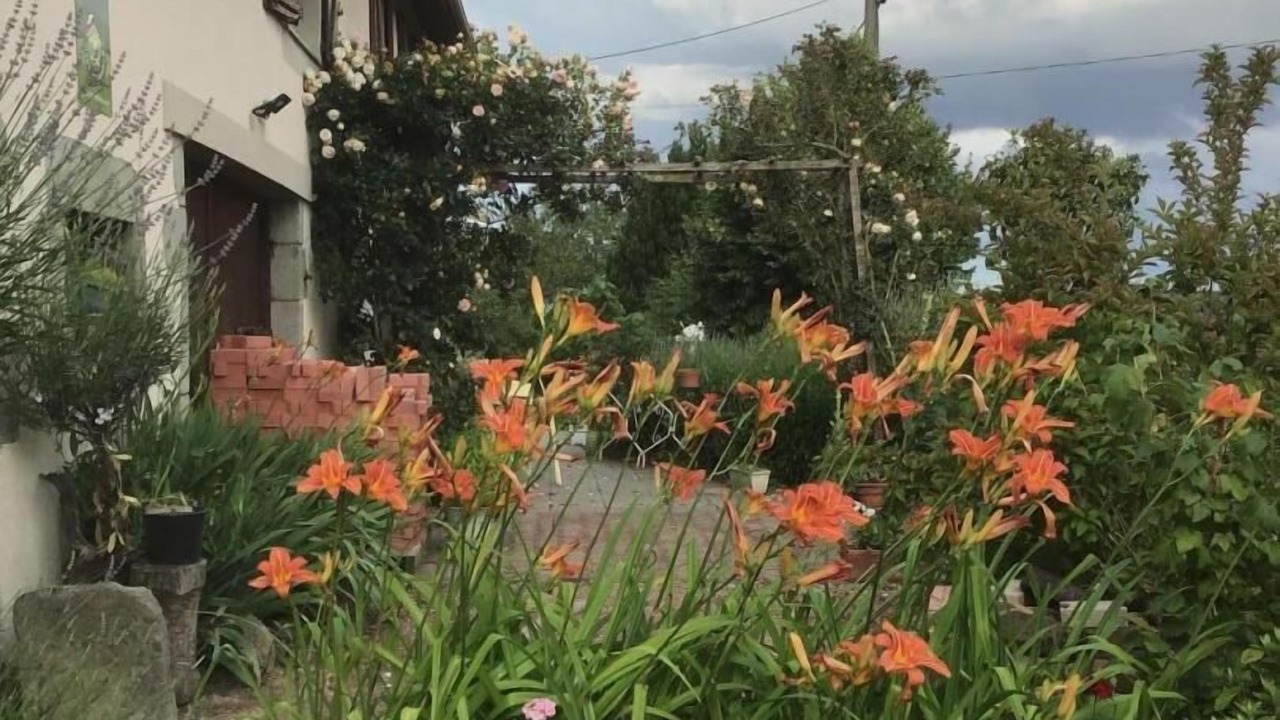 Photo of Outdoor in Neuf-Eglise