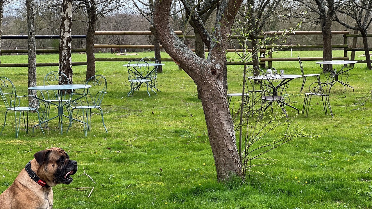 Photo of Outdoor in Dehault