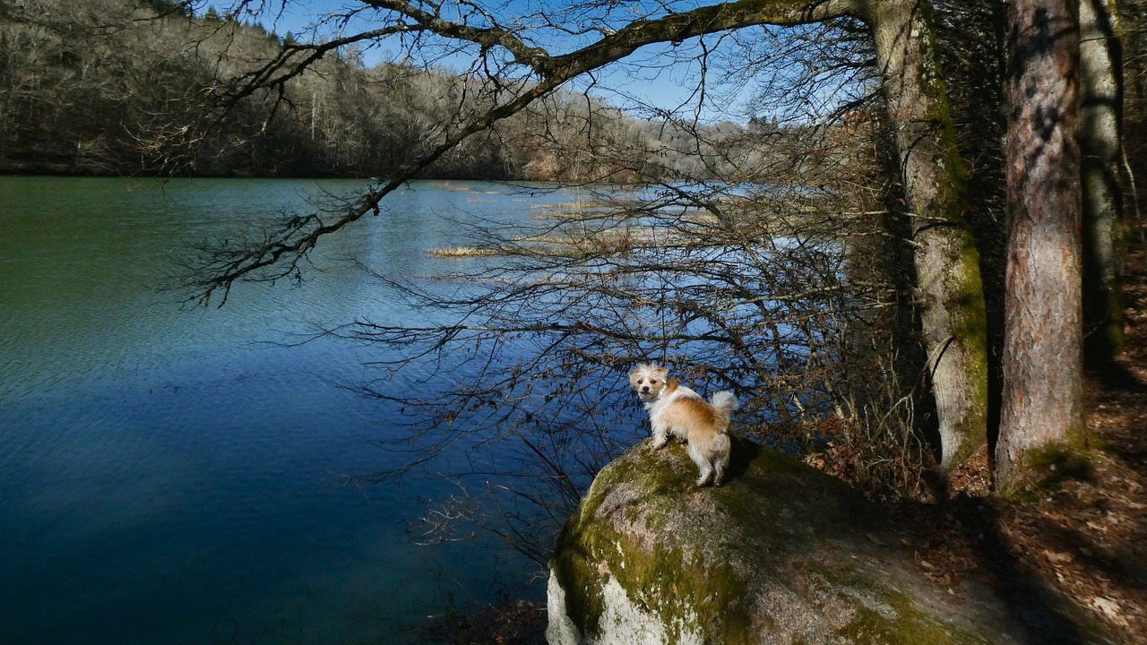Photo of Others in Montigny-sur-Armancon