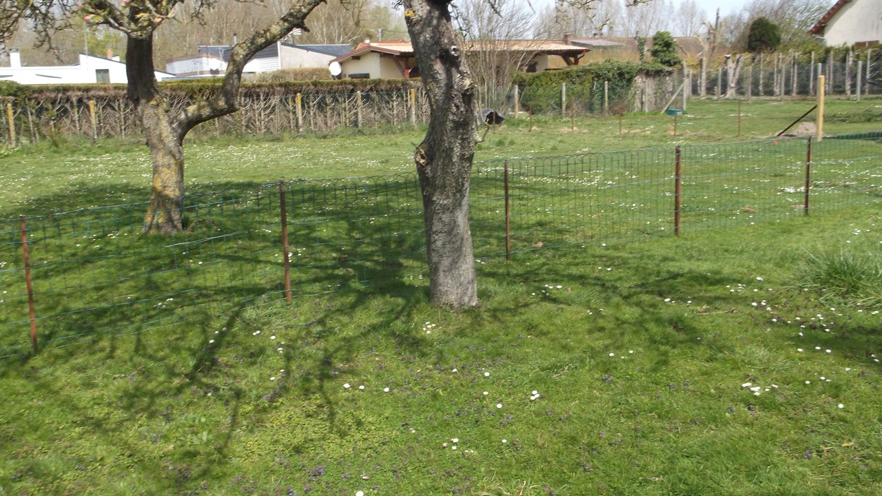 Photo of Outdoor in Routhiauville