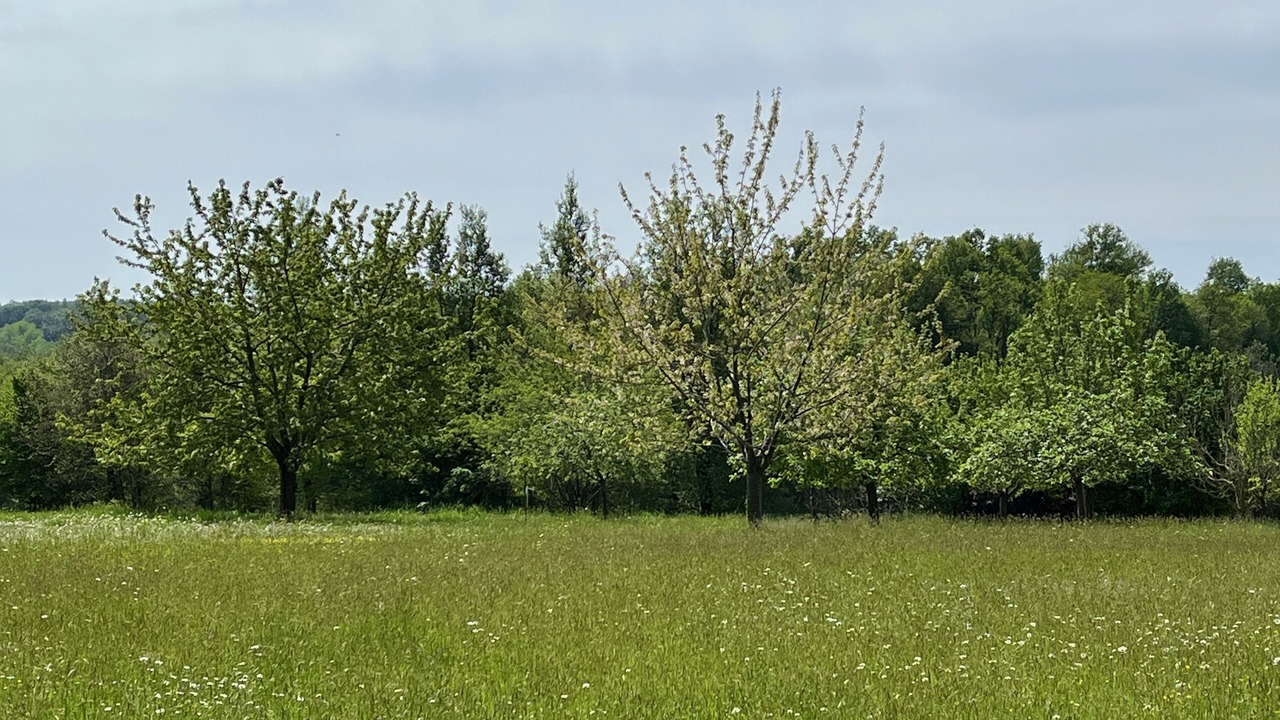 Photo of Outdoor in Saint-Martial-Viveyrol