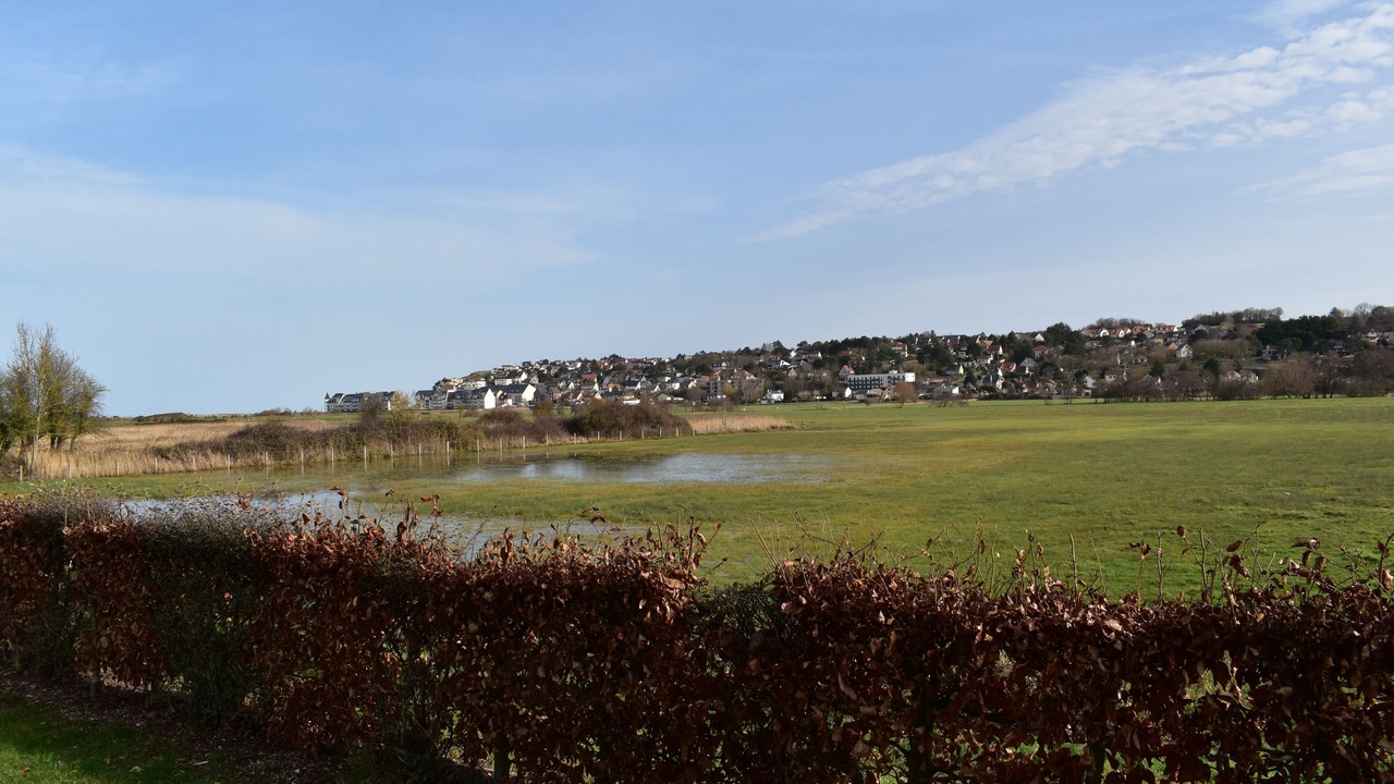 Photo of Others in Criel-sur-Mer