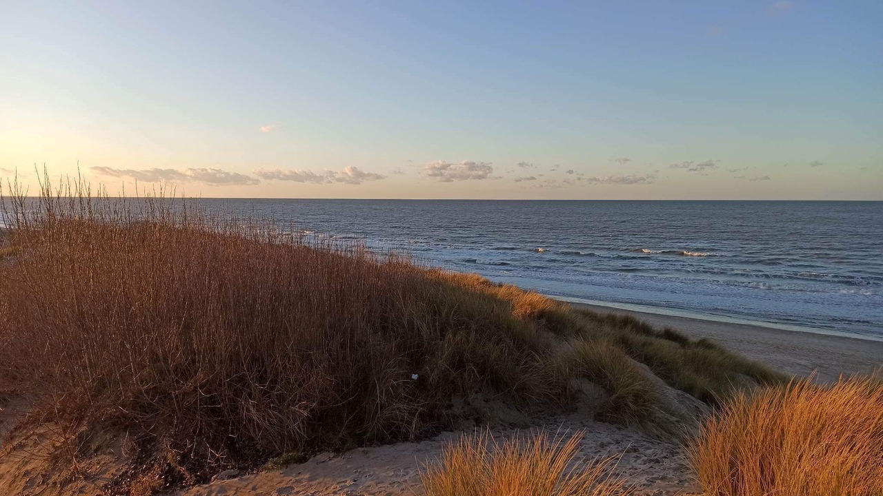 Photo of Others in Bray-Dunes