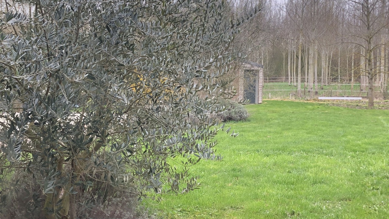 Photo of Outdoor in Doingt