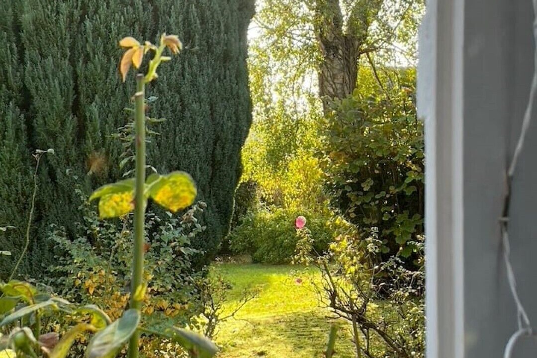 Photo of Outdoor in La Riviere-Saint-Sauveur