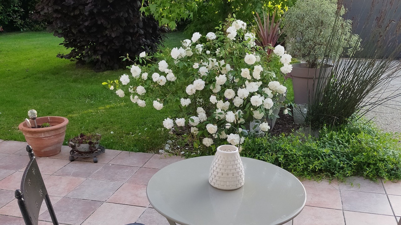 Photo of Outdoor in Bavent