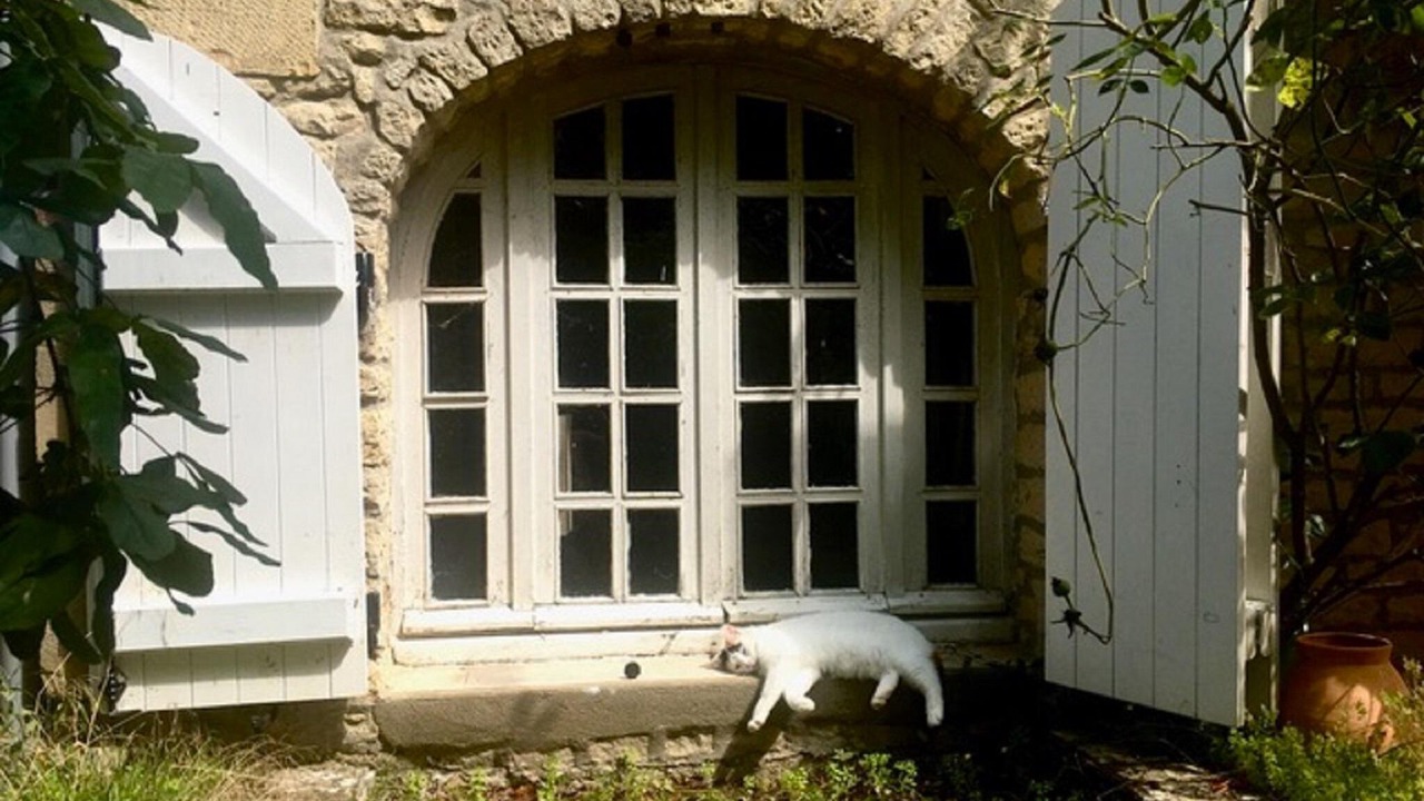 Photo of Others in Tannay