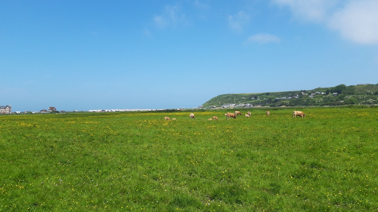 Photo of Others in Veulettes-sur-Mer