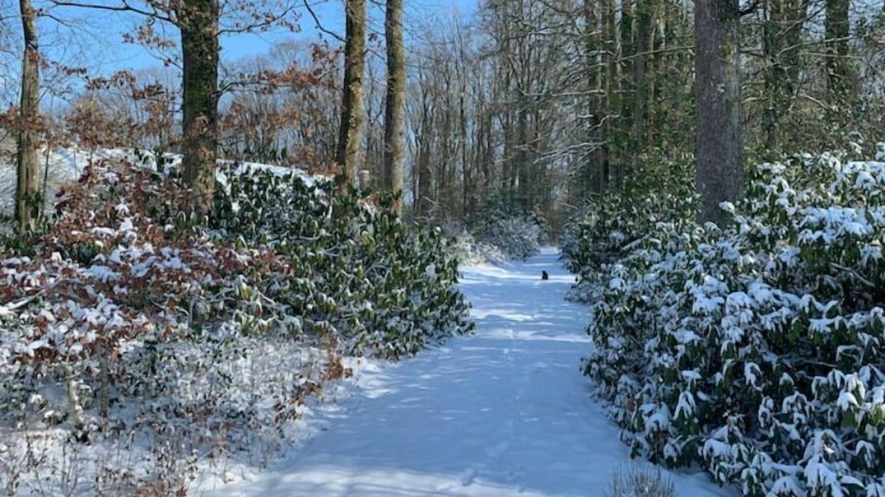 Photo of Outdoor in Male