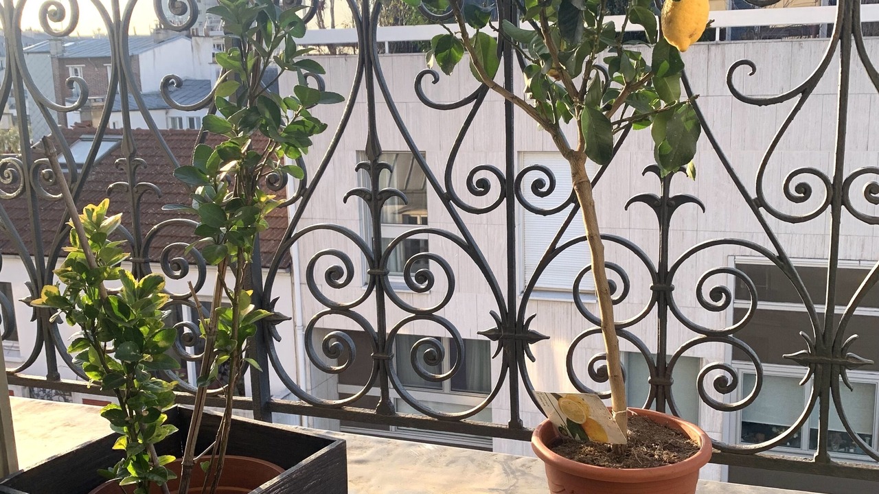 Photo of Outdoor in Montparnasse