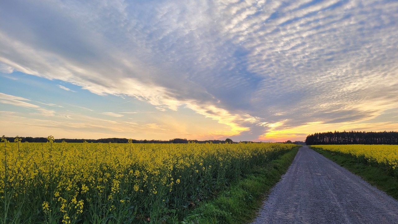 Photo of Outdoor in Chailly-en-Biere