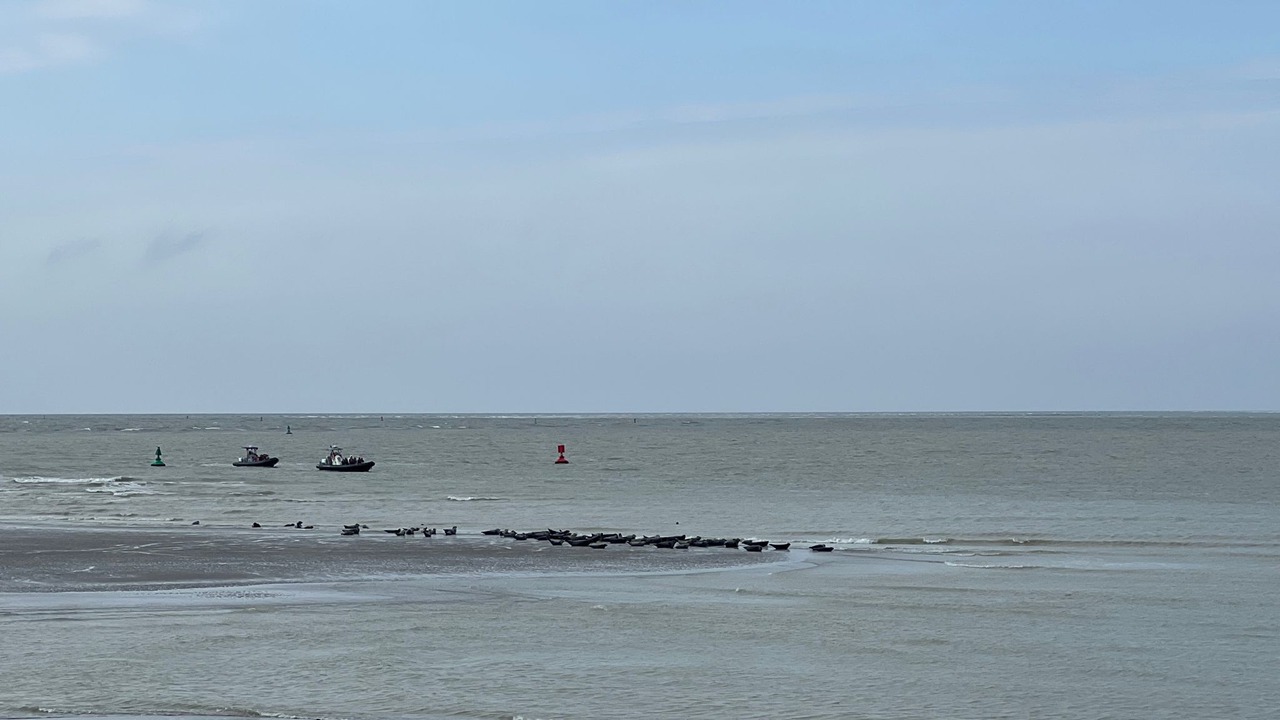 Photo of Others in Mers-les-Bains