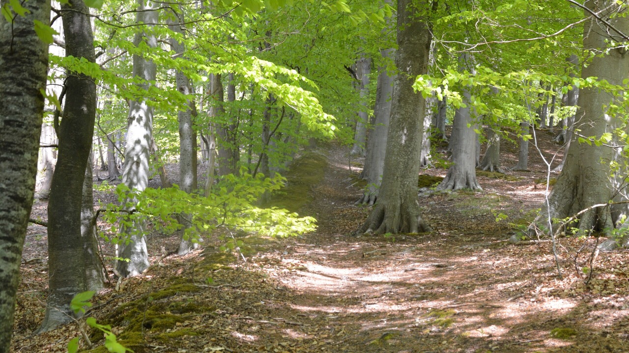 Photo of Outdoor in Benarville